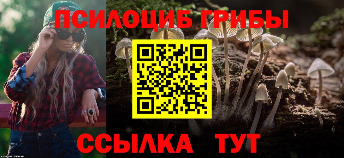 Псилоцибиновые грибы GOLDEN TEACHER Будённовск