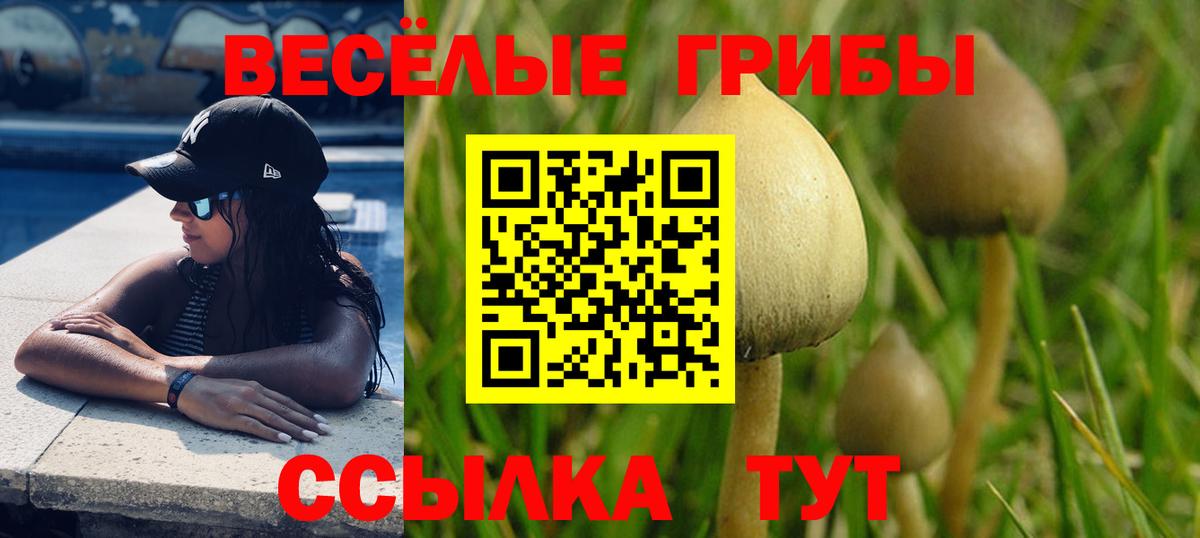 где можно купить наркотик  Галлюциногенные грибы Cubensis  Вход с VPN  Галлюциногенные грибы Magic Shrooms  Будённовск 